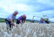 După seceriș – la pansionat